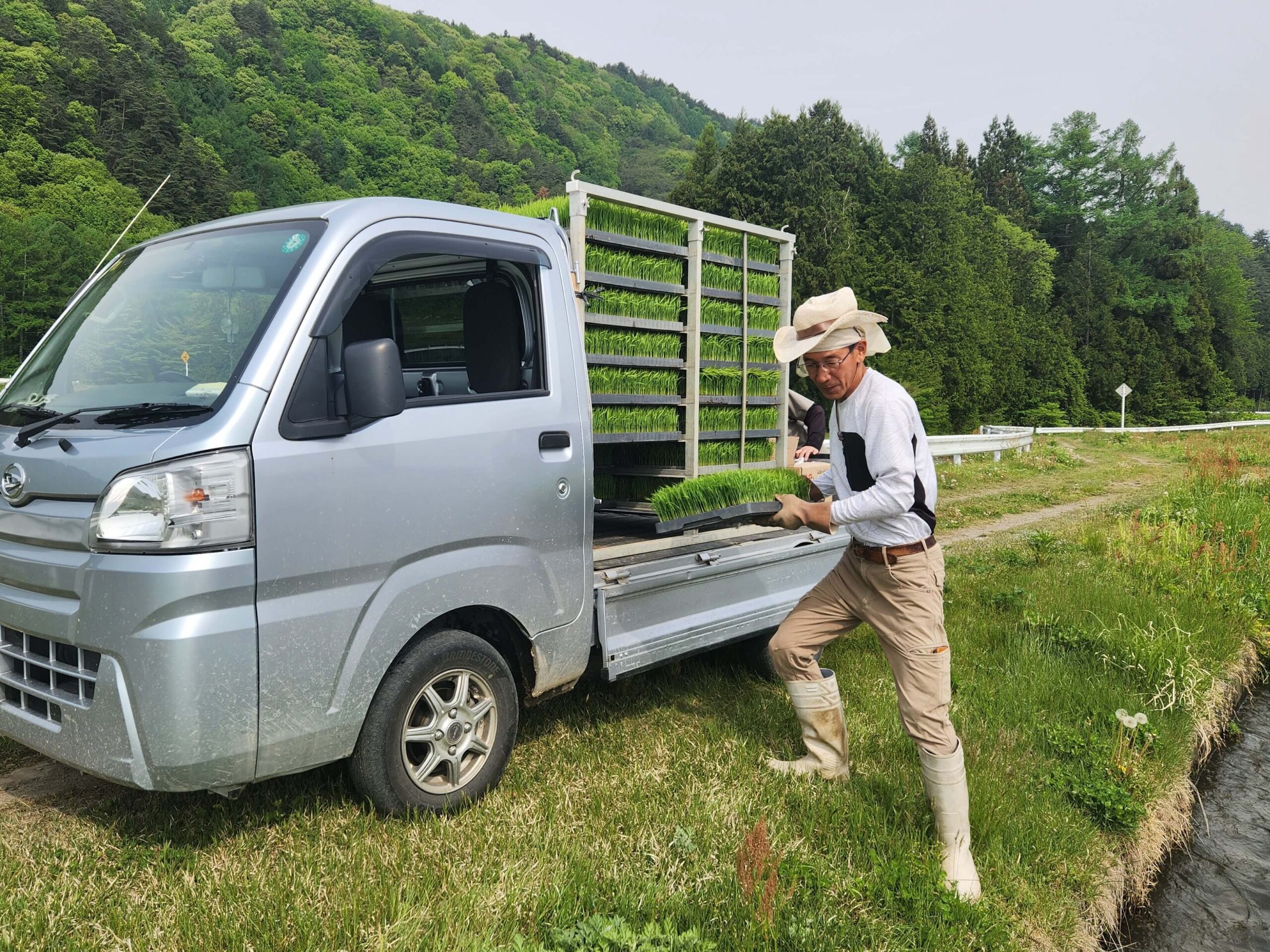 田植え_日本酒白馬錦